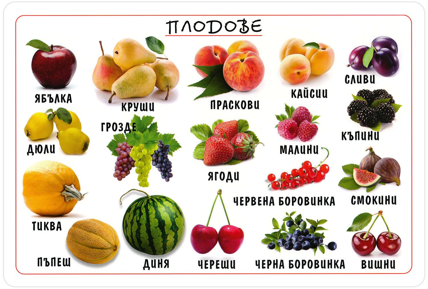 store.bg - Плодове - учебна таблица