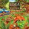 Sima, the tortoise -   -  