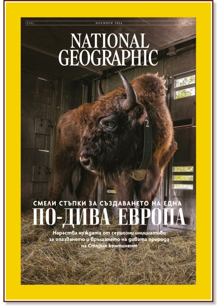 National Geographic  -  11 / 2024 - 