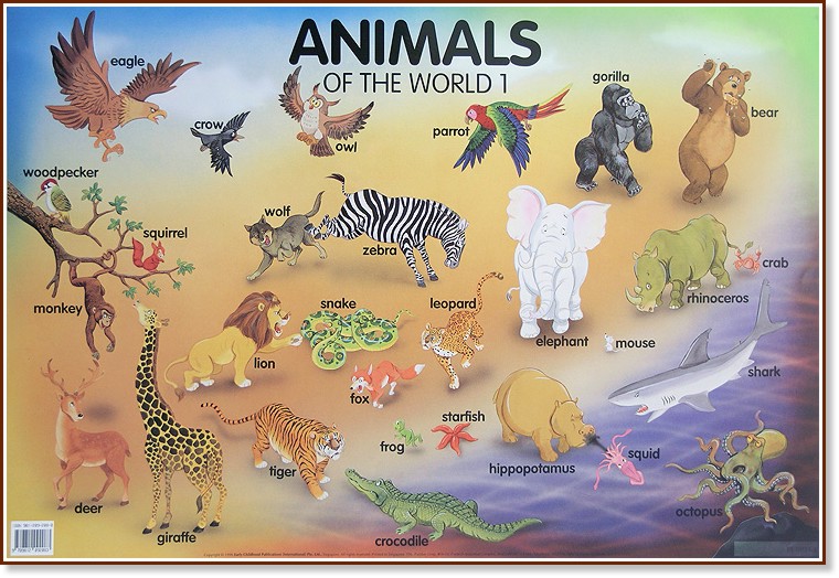     : Animals of the World 1 - 77 x 52 cm - 