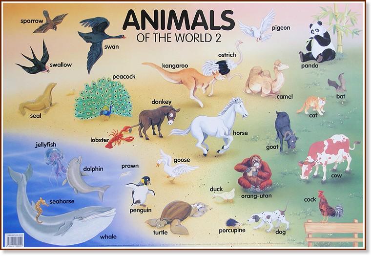     : Animals of the World 2 - 77 x 52 cm - 