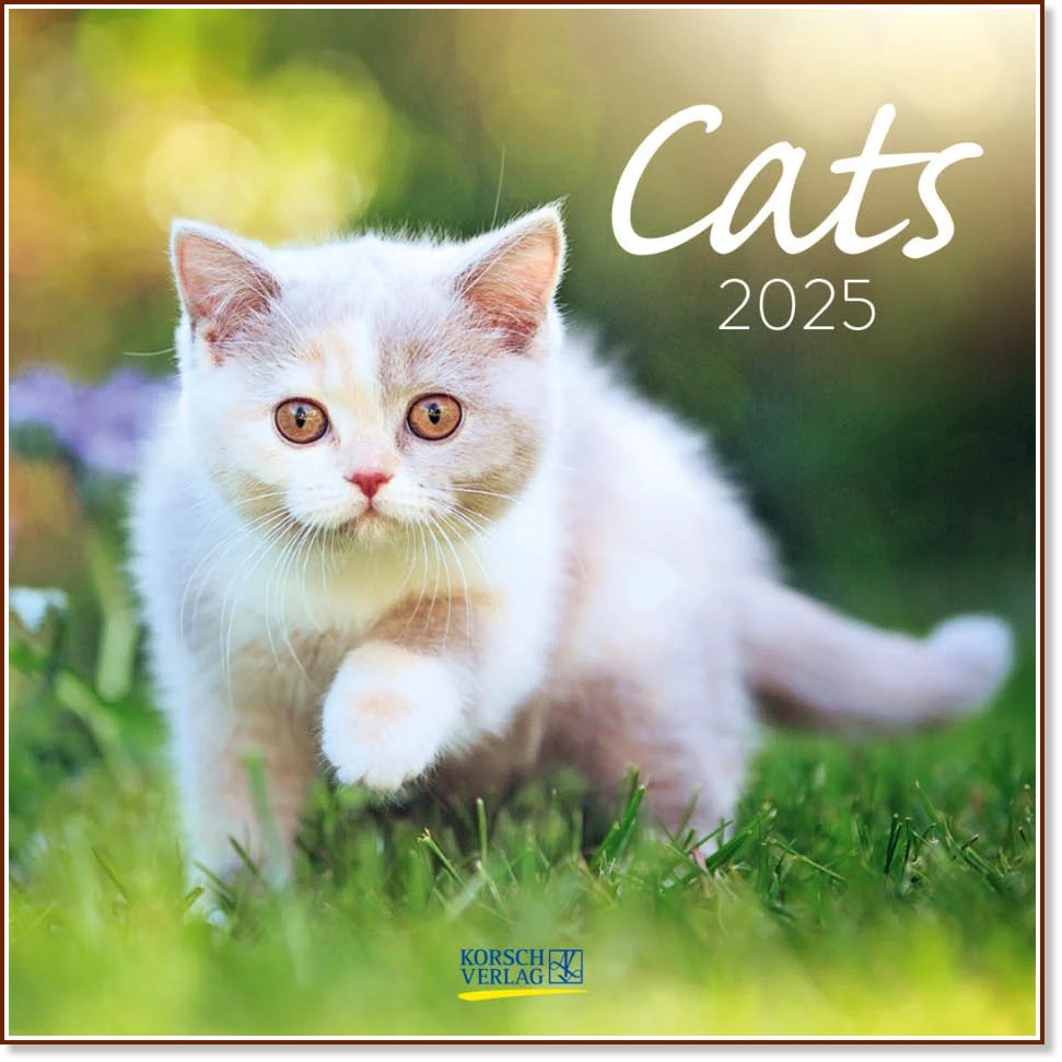   - Cats 2025 - 