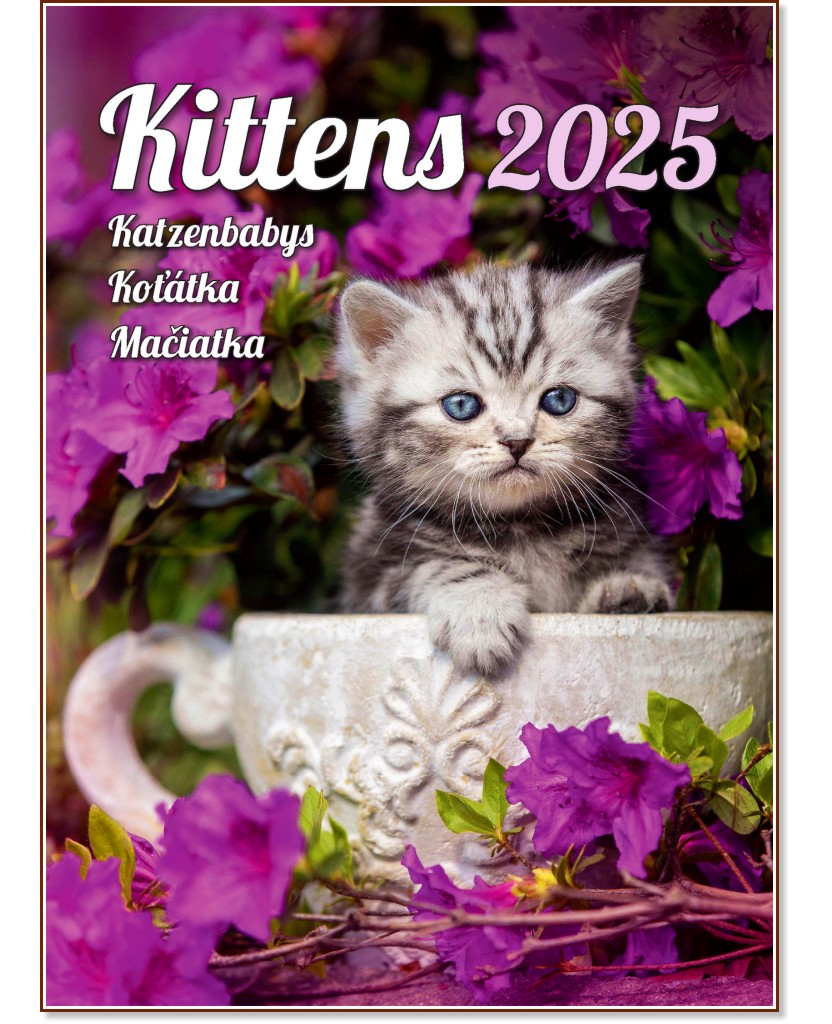   - Kittens 2025 - 