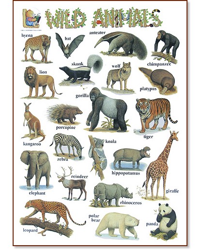      : Wild Animals - 52 x 77 cm - 