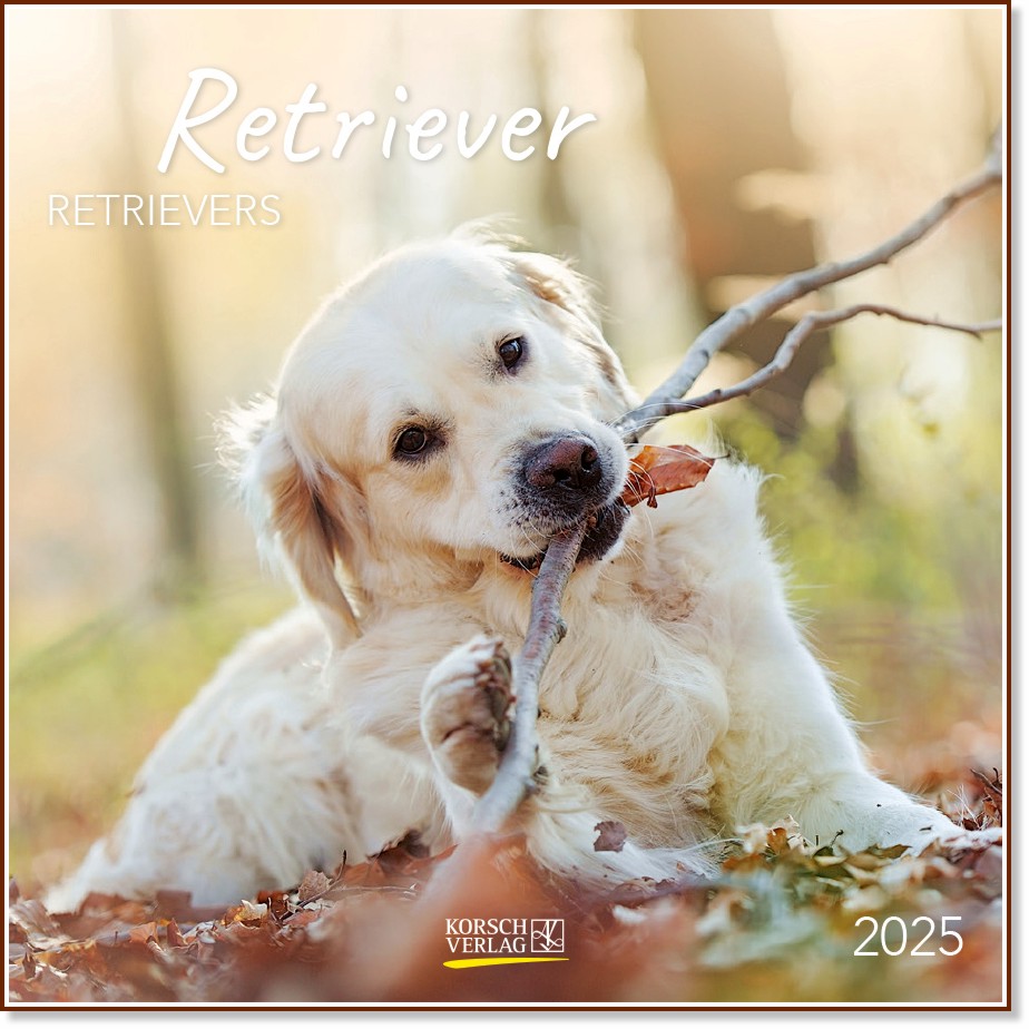   - Retrievers 2025 - 