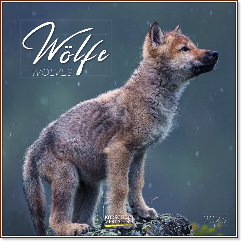   - Wolfe 2025 - 