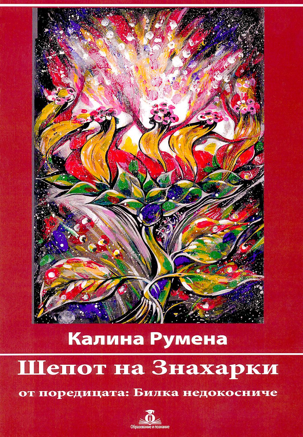 Книга калина 1117