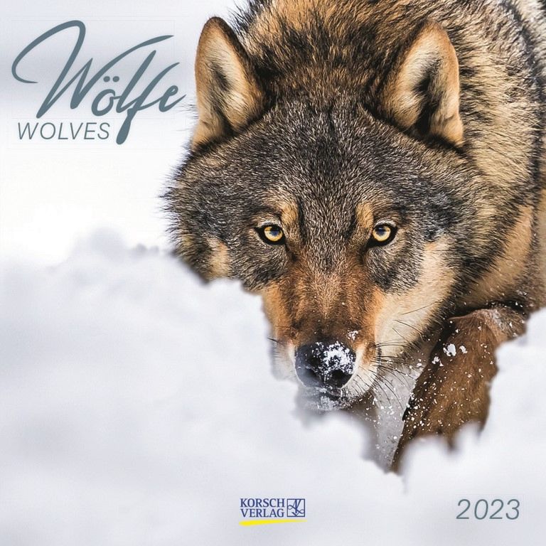 Стенен календар Wolves 2023 store.bg