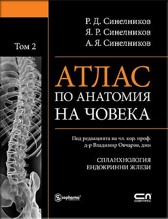 Store Bg Atlas Po Anatomiya Na Choveka Tom 2 Slanhnologiya Endokrinni Zhlezi R D Sinelnikov Ya R Sinelnikov A Ya Sinelnikov Kniga