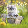   - Cats 2026 - 