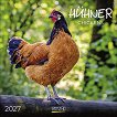 ������ �������� - Chicken 2027 - ��������