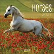 ������ �������� - Horses 2027 - ��������