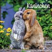   - Bunnies 2026 - 