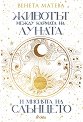 Животът между кармата на Луната и мисията на Слънцето - Венета Матева - книга