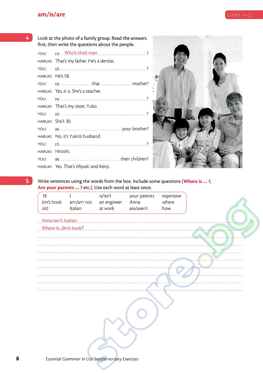 essential grammar in use supplementary exercises fourth edition pdf