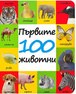  100  - 