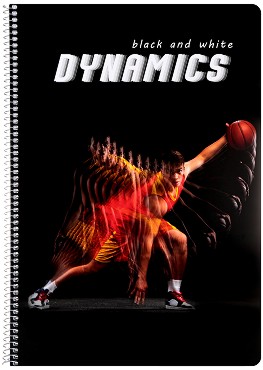     - Dynamics :  A4    - 80  105  - 