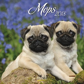   - Mops 2018 - 