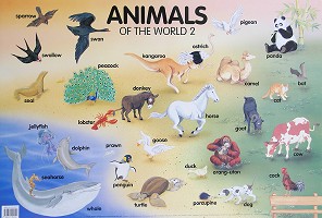     : Animals of the World 2 - 77 x 52 cm - 