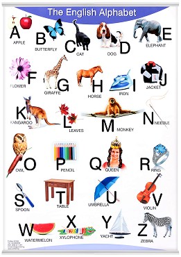   : The English Alphabet - 50 x 70 cm - 