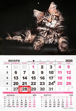   -  2020 - 