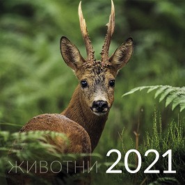   -  2021 - 