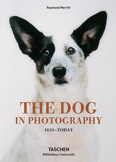 The Dog in Photography 1839 - Today - Raymond Merritt - 