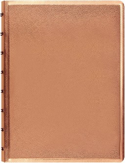  Filofax -  A5   Saffiano - 