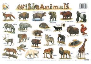      : Wild Animals - 39 x 27 cm - 