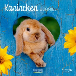   - Bunnies 2025 - 