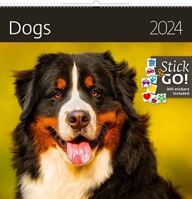   - Dogs 2024 - 