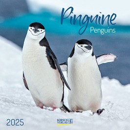   - Penguins 2025 - 