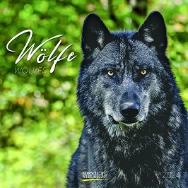   - Wolfe 2024 - 