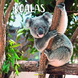   - Koalas 2024 - 