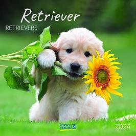   - Retriever 2024 - 