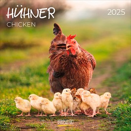   - Chicken 2025 - 