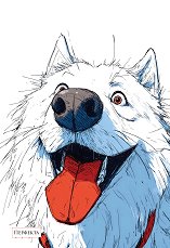 ���������� �������� � ����� � ������ ������ - 